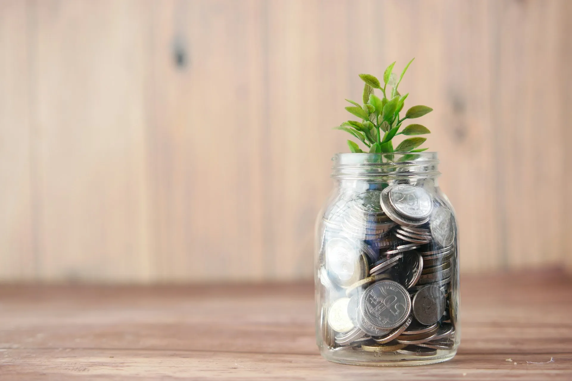 Glass jar of coins with a green plant growing out of it